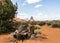 Tree trunk, Monument Valley panorama - Arizona, AZ