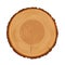 Tree trunk rings vector texture