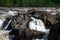 Tree trunk on rocks - Potomac River