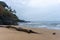 Tree Trunk on Sand in Mexican Beach.