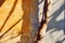 Tree trunk and shadows against a weathered concrete wall