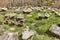 Tree trunks beehives apiary in La Hiruela, Madrid. Spain