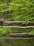 Tree trunks fallen over water stream