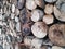 Tree trunks stacked background - shades of brown