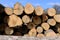 Tree trunks stacked for transport after logging.