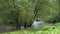 Tree trunks in the water. The river overflowed its banks. High water after summer rains in Russia