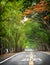 Tree tunnel with happiness year 2021 to 2023 on asphalt road surface