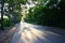 Tree Tunnel Natural Road at Sunset time