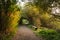 Tree tunnel next to bench landscape