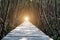 Tree tunnel, Wooden Bridge In Mangrove Forest at Laem Phak Bia,