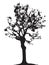 Tree twig silhouette vector