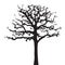 Tree twig silhouette vector