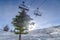 Tree under ski lifts against snow and sky in Utah