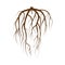 Tree Underground Roots Vector. Brown Tree Root On White Background Flat Isolated Illustration