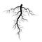 Tree Underground Roots Vector Set. Illustration Isolated On White Background