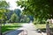 Tree walk path. Natural background