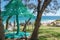 Tree weaving on the Foreshore: Cottesloe Beach