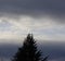 Tree, White Clouds and Dark sky