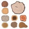 Tree wood trunk slice texture circle cut wooden raw material vector detail plant years history textured rough forest