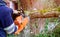 A tree at work up a tree is cutting a tree branch using a chainsaw on fallen tree after storm