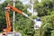 Tree Worker evaluating the job from a bucket truck