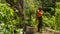 Tree worker in orange shirt standing at bottom of tree folding rope