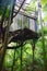 Treehouse in the jungle