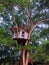 Treehouse for kids in the garden. Playhouse.