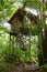 Treehouse wooden, eco tourism resort