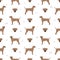 Treeing Tennessee Brindle seamless pattern. Different poses, coat colors set