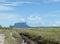 Treeking in the Gran Sabana