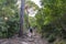 Treekking at dawn leaving Girona with a hiker on the way