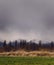 Treeline against the snowy Andes Mountains in Tupungato, Mendoza, Argentina, in a a cold cloudy day