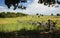 Treeline to Fields Gettysburg Battlefield Pennsylvania