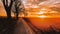 Treelined country road in winter against a colorful sunset