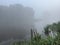 Treelined lake shrouded in fog, reflecting serene landscape in still water