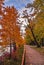Treelined Park Pathway In Autumn