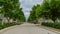 Treelined pedestrian alley and park, in NÃ®mes, Provence, France