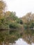 Trees above lake with mallards resting on wood