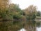 Trees above lake with mallards resting on wood