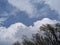 Trees against the backdrop of heavy and majestic clouds. Nature strikes with its beauty, serenity and tranquility.