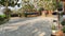 trees in the agro garden and a large parking lot.