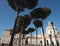 Trees along a gravel path in Rome leading to Piazza Venetia