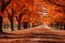 Trees along the roadside in autumn