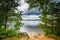 Trees along the shore of Massabesic Lake, in Auburn, New Hampshire.