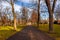 Trees alongside a road in a city park