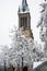 trees and alsatian church covered by the snow