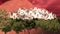 Trees and ancient buildings over sand mountain