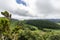 Trees around the Alferes Caldera