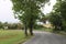 Trees around the lonely road selective focus